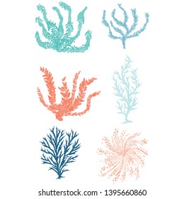 Cute Underwater Seaweed Cartoon Vector Illustration Motif Set. Hand Drawn Isolated Coral Reef Elements Clipart For Nautical Oceanology Blog, WORD Graphic, Undersea Web Buttons.