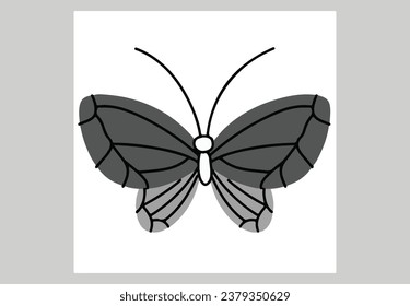 cute and unique colorful butterfly vector