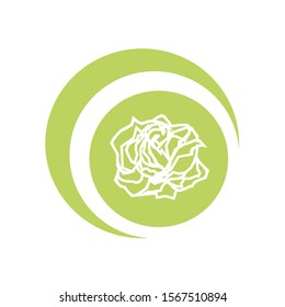 Cute and Unique Rose Flower Vector on the Green Ball Background 