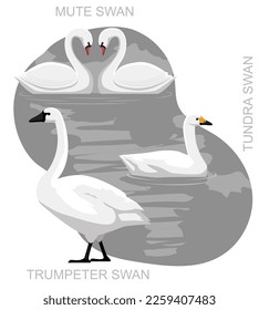 Cute US Swan Set Cartoon Vector