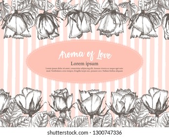 Cute valentines day or label card with Rose flower sketch in engraving style Vintage vector illustration Lovely background. Typography design. Lettering text Aroma of Love