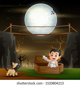 Cute a vampire and mummy cat in night landscape