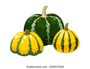 Cute various hand drawn pumpkins   gourd  Autumn composition  horizontal still life  Isolated vector illustration 