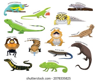 Cute Various Lizards Cartoon Vector Illustration Stock Vector (Royalty ...