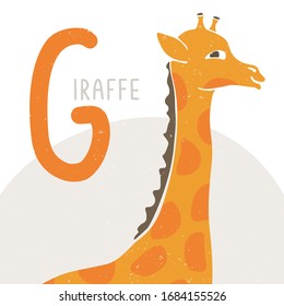 Cute vector alphabet card for play and education. Letter "G" is for Giraffe. Croped yellow giraffe.  Handwritten text. Vector shabby hand drawn illustration