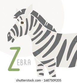 Cute vector alphabet card for play and education. Letter "Z" is for Zebra. Croped striped zebra. Handwritten text. Vector shabby hand drawn illustration
