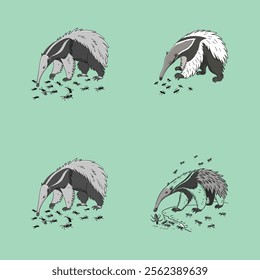 Cute vector artwork of an anteater eating ants, perfect for illustrations, prints, and designs.