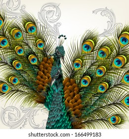 Cute  vector background with green peacock on white