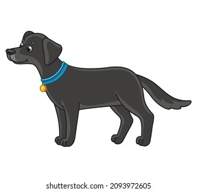 
Cute vector black dog. Vector cartoon dog. Vector illustration for children