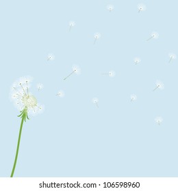 Cute vector blow dandelion on blue background