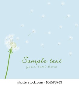 Cute vector blow dandelion on blue background
