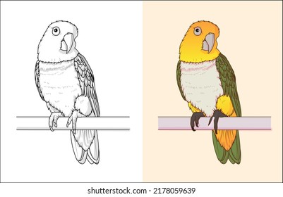 Cute Vector Caiques Frontal Illustration