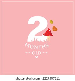 Cute vector card "I'm 2 months old". Pink postcard for a photo of a child. First year of life. birthday