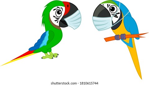 Cute Vector cartoon blue-and-yellow macaw parrot and green Military Macaw ara with mask