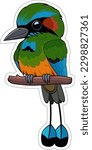 Cute Vector cartoon browed motmot bird sticker