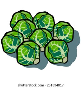 Cute vector cartoon Brussels Sprouts