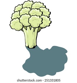 Cute vector cartoon Cauliflower