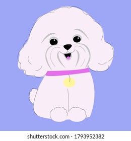 Cute vector cartoon dog Bichon Frize on a blue background. Children's illustration for t-shirt prints, cards, posters, books, banners and other materials.