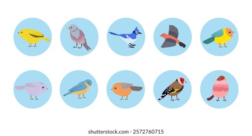 Cute Vector cartoon doodle flat style bird sticker isolate on blue circle background for social media, web design or banner