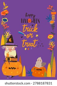 Cute Vector Cartoon Frame with Funny Angry Wizard sitting on Big Pumpkin