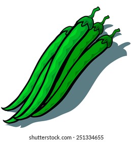 Cute vector cartoon Green Beans