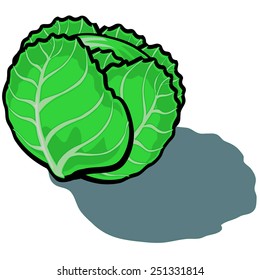 Cute vector cartoon Lettuce
