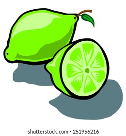 Cute vector cartoon Lime and Half Slice