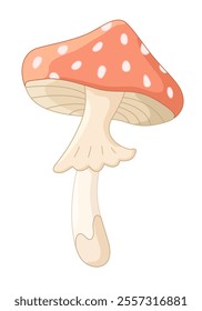Cute vector cartoon mushroom with red cap and white spots