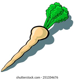 Cute vector cartoon Parsnip