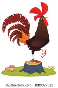 Cute vector cartoon rooster illustration isolated on summer meadow background