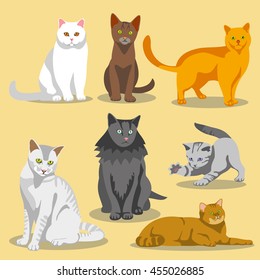 Cute vector cats with different colored fur and markings. Set of cats and illustration cat pet