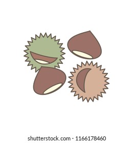 cute vector chestnuts isolated on white background