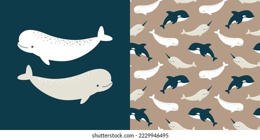 Cute vector collection with beluga. Seamless pattern and animal illustration