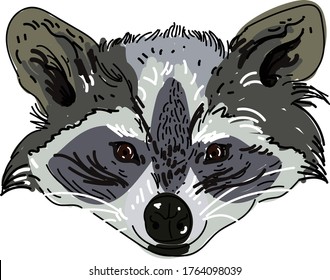 cute vector colored cartoon illustration, with cartoon style, head only, for editorial design and illustration