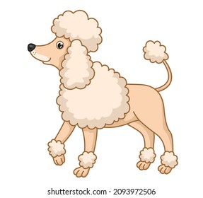 
Cute vector dog. Vector cartoon poodle. Vector illustration for children