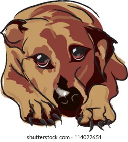 Cute vector dog, coloring, isolated on white background