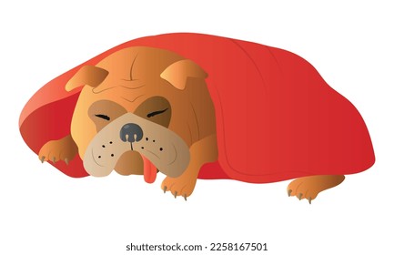 Cute vector dog isolated on white background. Funny cartoon english bulldog. Sleeping animal illustration. Puppy with tongue hanging out under blanket