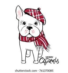 Cute vector dog in winter clothes. Fashion French bulldog puppy. Stylish animals. Clothing for pets. Cartoon illustration in sketch style. Print design.