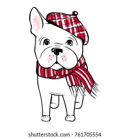 Cute vector dog in winter clothes. Fashion French bulldog puppy. Stylish animals. Clothing for pets. Cartoon illustration in sketch style. Print design.