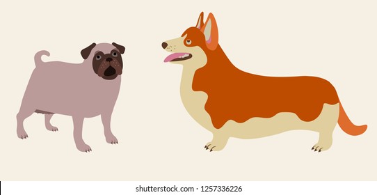 Cute Vector Dogs, welsh corgi and pug dog