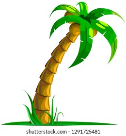 Cute vector drawing palm tropical tree.