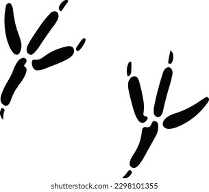 Cute vector drawing of two adorable avian tracks on a white background - bird footprint design perfect for pet and animal lovers.