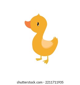 Cute vector duckling. Little duckling. Funny bird. Farm animal. simple duck illustration