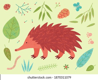 Cute vector echidna character. Australian endemic exotic wild animal.