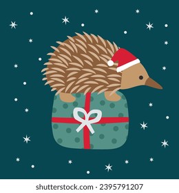 Cute Vector Echidna Hedgehog Christmas Xmas Santa Hat Present Happy Joy Stars Green Red Australian Animals