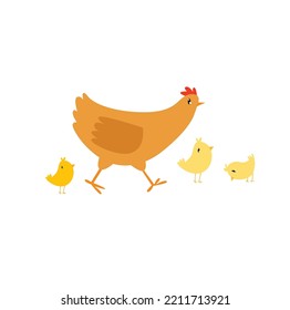 Cute vector family of chickens. Mother hen and chicks. Funny cartoon animal. Farm animal. A simple illustration of farm birds.