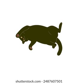 Lindo Vector gordo gato negro animal