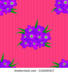 Cute vector floral background. Cosmos flowers seamless pattern in violet, pink and magenta colors.