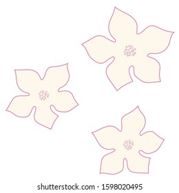 Cute vector floral illustrator. Pink zucchini flowers. Image for printing on paper, cards, covers.