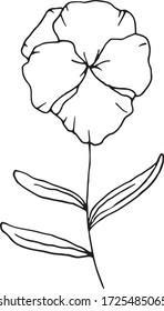 С г е у м flores del sector. Ilustración de estilo doodle dibujada a mano. Bordes negros aislados sobre fondo blanco. Imagen para el diseño de libros de color, decoración de tarjetas de temporada y materiales impresos.
